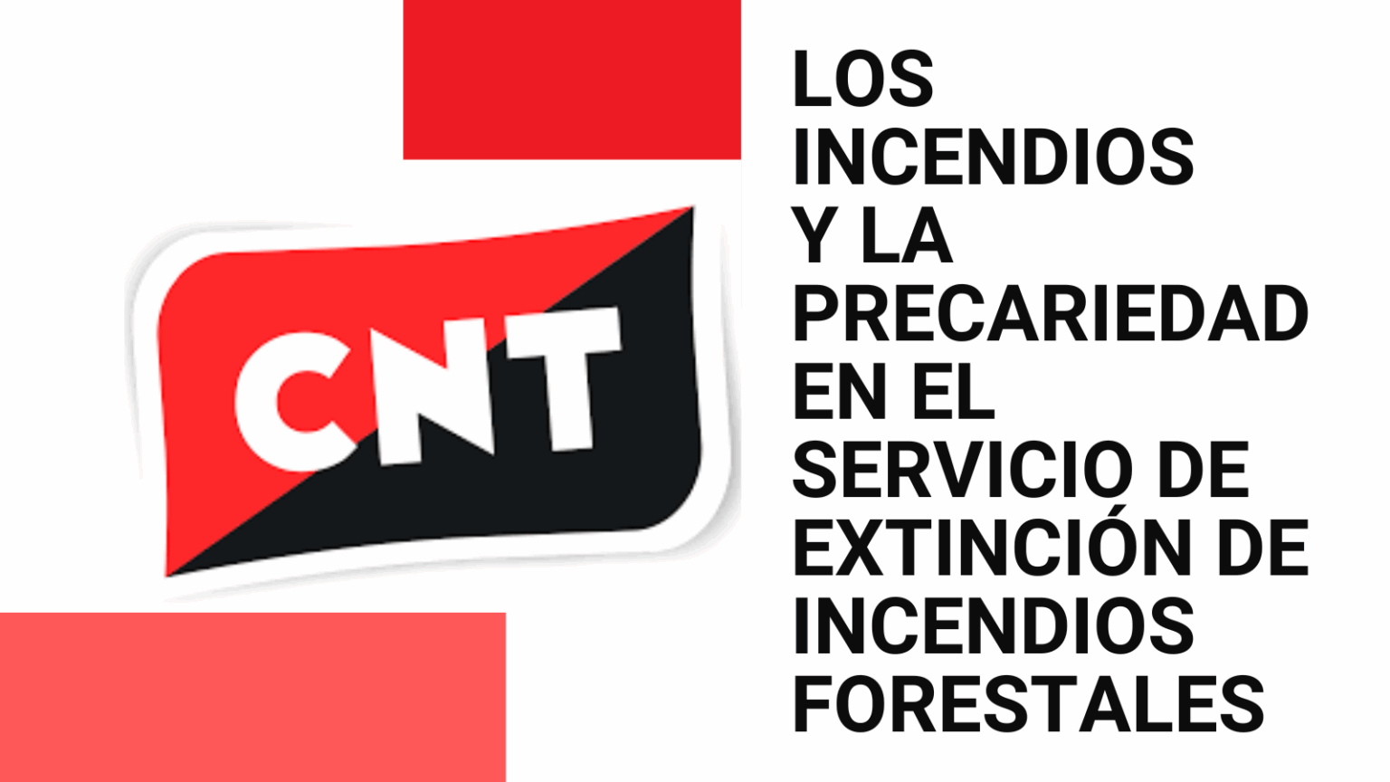 Los incendios y la precariedad en el Servicio de Extinción de Incendios ...